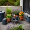 Stratégies naturelles et pièges efficaces contre moustique au jardin et à la maison