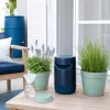 Stratégies naturelles et pièges intelligents contre moustique au jardin et à la maison