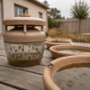 Le moustique tigre gagne un département par an : ce que le réchauffement climatique change pour les dix prochaines saisons