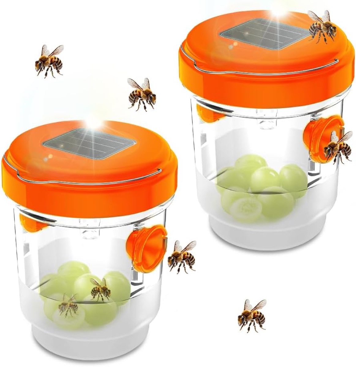 Packshot des deux pi&egrave;ges &agrave; gu&ecirc;pes mizikuu du lot, avec des grains de raisin en app&acirc;t dans le r&eacute;servoir et des gu&ecirc;pes autour des c&ocirc;nes